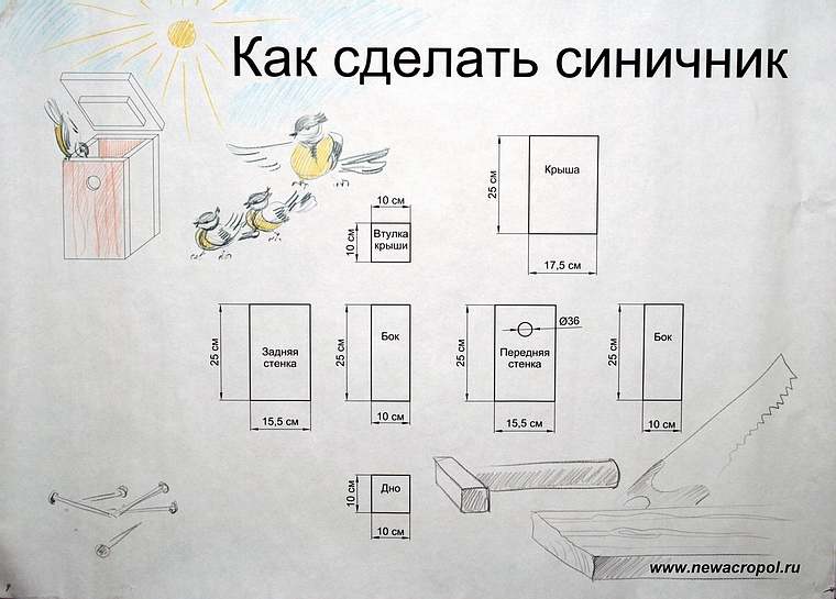 Как правильно смастерить скворечник