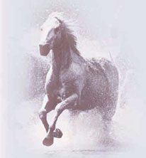 http://www.newacropol.ru/pub/Symbols/1horse1.jpg