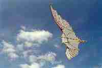 Крылья, созданные по чертежам Леонардо да Винчи - традиционный атрибут праздника.