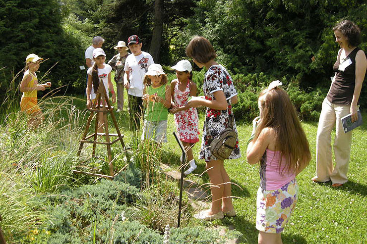 11 июня Культурный Центр «Новый Акрополь» помогал Ботаническому саду ТвГУ в проведении Праздника Середины Лета.