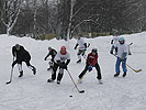 Детский развивающий центр - Хоккейный матч между командами «Монсальват» и «Камелот»