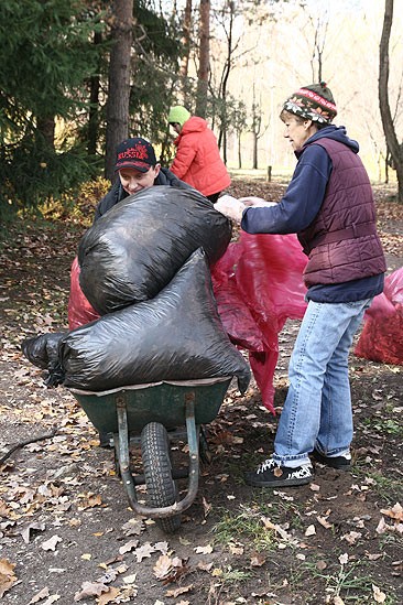 Добровольная экологическая акция Нового Акрополя. Подготовка Японского сада к зиме Добровольная экологическая акция Нового Акрополя. Подготовка Японского сада к зиме