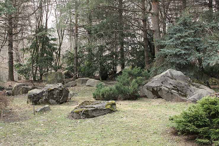 Добровольческая экологическая акция в Японском саду