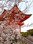 Японские храмы и сады