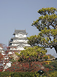 Дворцы и замки Японии