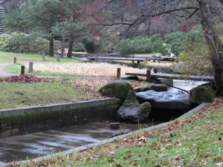 Осенняя экологическая акция в Японском саду Главного ботанического сада РАН