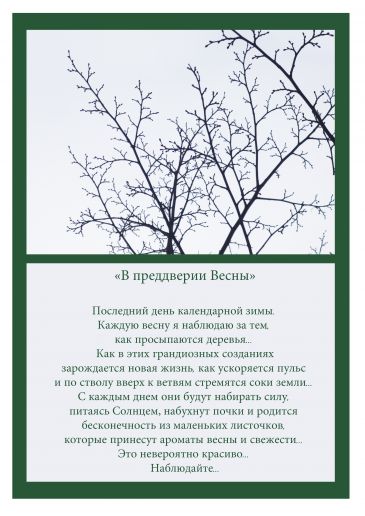 Итоги фотоконкурса и конкурса эссе Итоги фотоконкурса и конкурса эссе