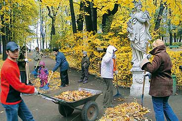 Экологическая деятельность