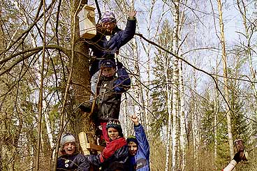 Экологическая деятельность