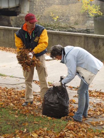 Калининградские акропольцы протянули руку помощи калининградским каштанам Калининградские акропольцы протянули руку помощи калининградским каштанам