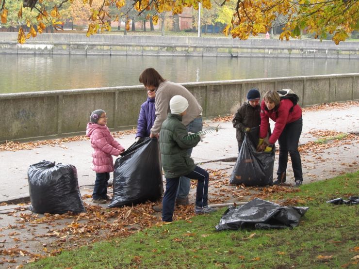 Калининградские акропольцы протянули руку помощи калининградским каштанам Калининградские акропольцы протянули руку помощи калининградским каштанам