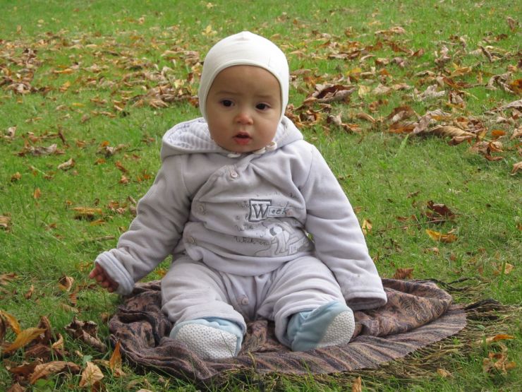 Калининградские акропольцы протянули руку помощи калининградским каштанам Калининградские акропольцы протянули руку помощи калининградским каштанам