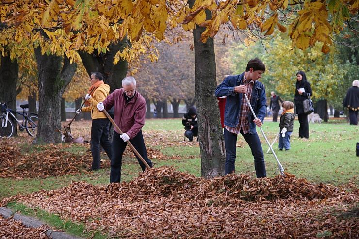 Калининградские акропольцы протянули руку помощи калининградским каштанам Калининградские акропольцы протянули руку помощи калининградским каштанам