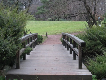 Осенняя экологическая акция в Японском саду Главного ботанического сада РАН Осенняя экологическая акция в Японском саду Главного ботанического сада РАН