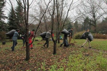 Осенняя экологическая акция в Японском саду Главного ботанического сада РАН Осенняя экологическая акция в Японском саду Главного ботанического сада РАН