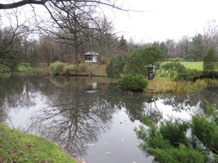 Осенняя экологическая акция в Японском саду Главного ботанического сада РАН Осенняя экологическая акция в Японском саду Главного ботанического сада РАН