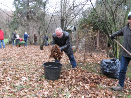 Осенняя экологическая акция в Японском саду Главного ботанического сада РАН Осенняя экологическая акция в Японском саду Главного ботанического сада РАН